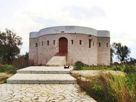 koulia koronisia