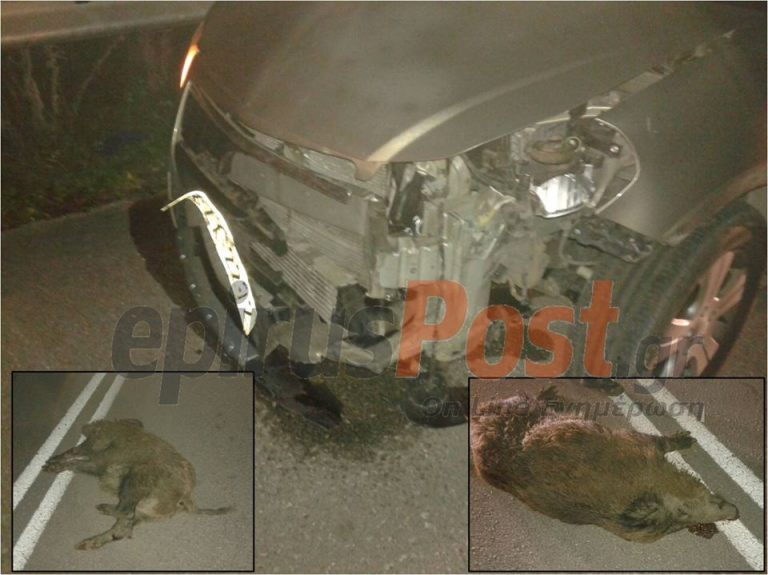 agrigourouno troxaio