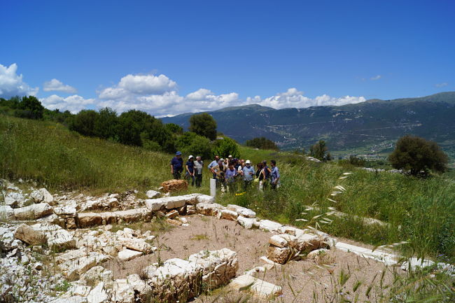 foitites gardiki