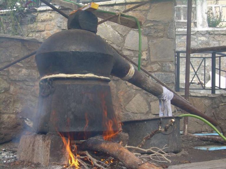 kazania tsipouro