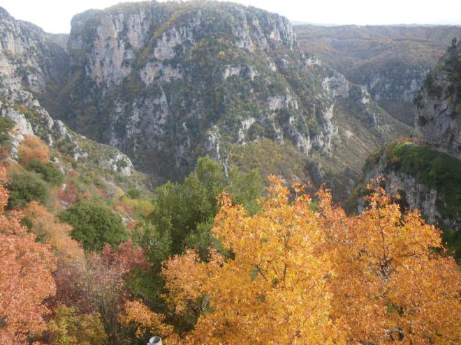 zagori fisi