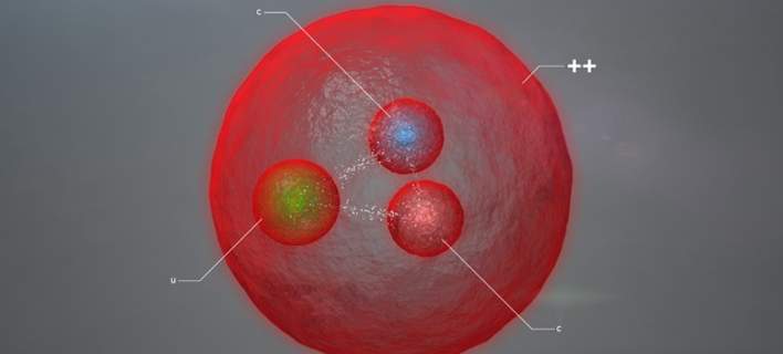 cern somatidio