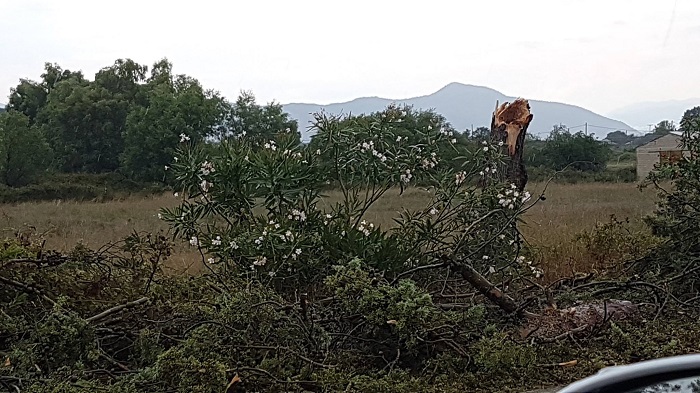 EpirusPost • Ειδήσεις, Ιωάννινα, Άρτα, Πρέβεζα, Θεσπρωτία • dentra preveza1