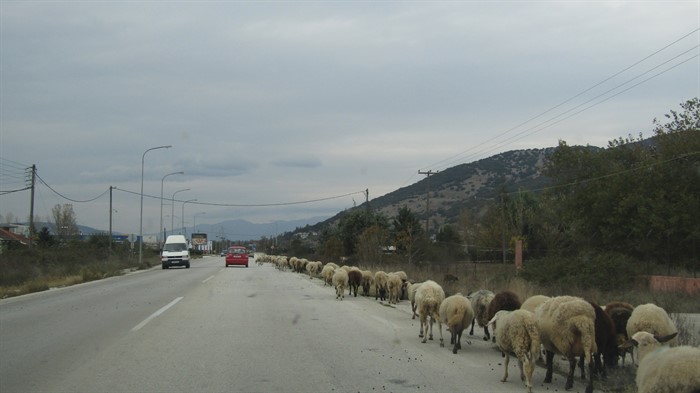 EpirusPost • Ειδήσεις, Ιωάννινα, Άρτα, Πρέβεζα, Θεσπρωτία • etniki kopadi2