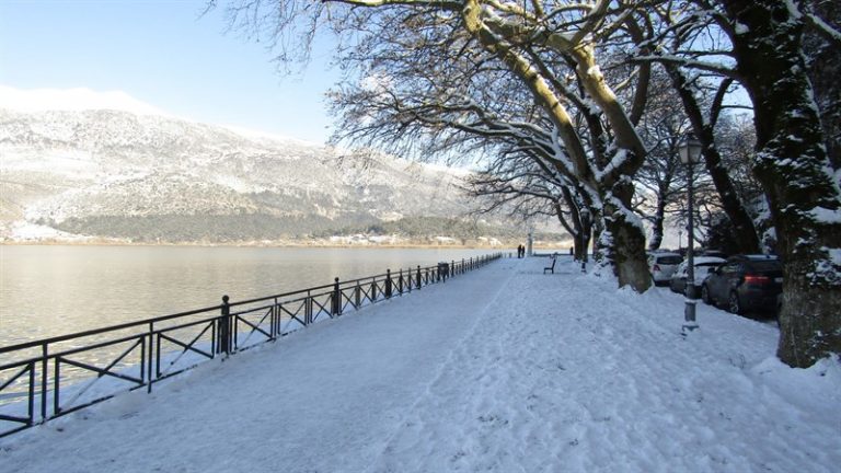 GIANNENA XIONI IANOYARIOS5