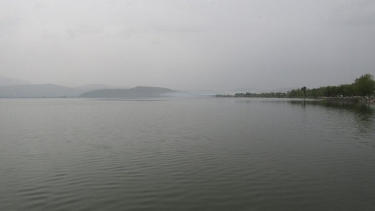 giiannena afrikaniki skoni2