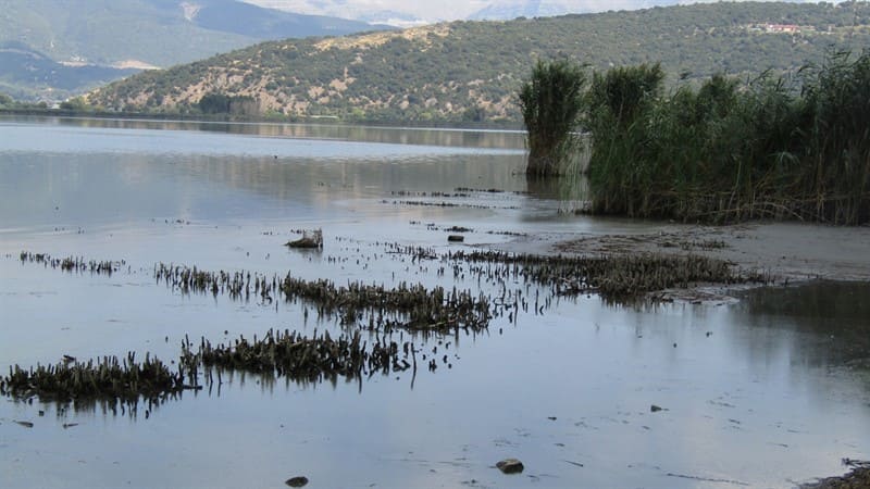 EpirusPost • Ειδήσεις, Ιωάννινα, Άρτα, Πρέβεζα, Θεσπρωτία • LAKE PTd