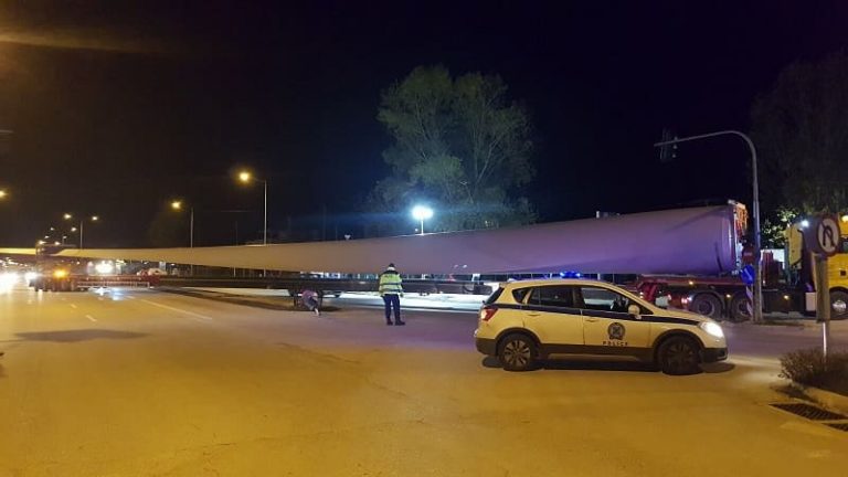 anemogenitria pterigio2