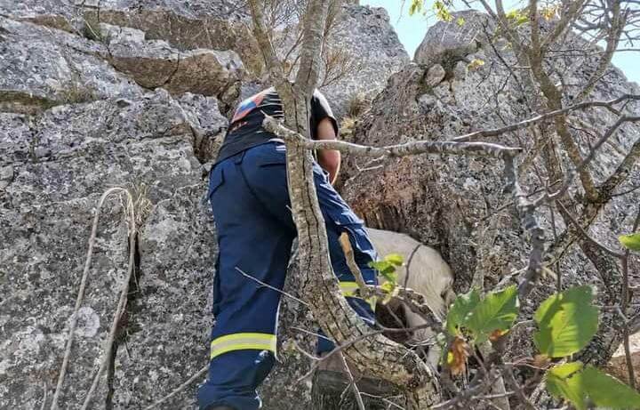 EpirusPost • Ειδήσεις, Ιωάννινα, Άρτα, Πρέβεζα, Θεσπρωτία • emak katsikia