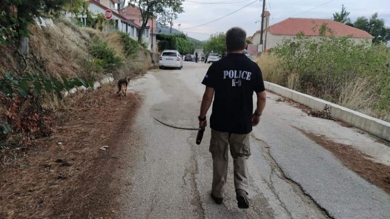 mirsini astinomikos skilos