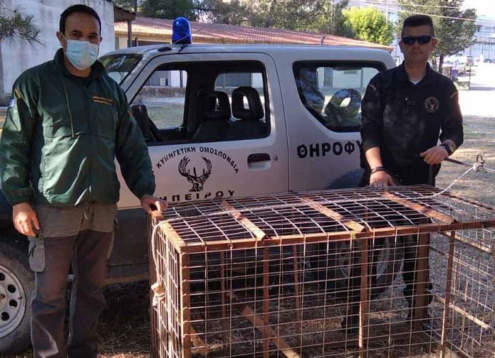 tirofilakes tzoumerka