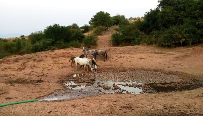 EpirusPost • Ειδήσεις, Ιωάννινα, Άρτα, Πρέβεζα, Θεσπρωτία • aloga souli