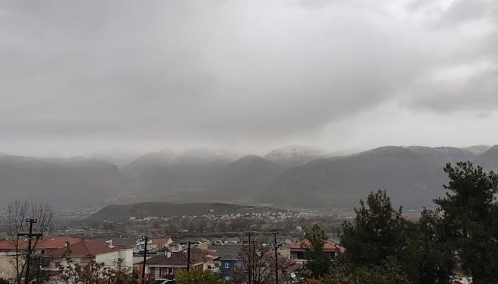 xeomonas lekanopedio