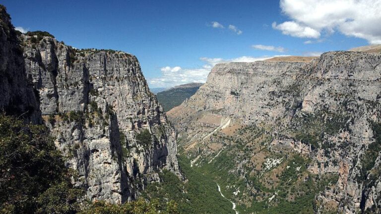 12 ξεχωριστά λουλούδια στο Ζαγόρι: Έκθεση χαρακτικών και συλλεκτικό ημερολόγιο