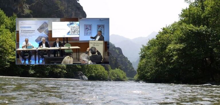 aoos konitsa dimarxos