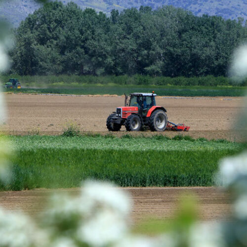 EpirusPost • Ειδήσεις, Ιωάννινα, Άρτα, Πρέβεζα, Θεσπρωτία • agrotika sxedia