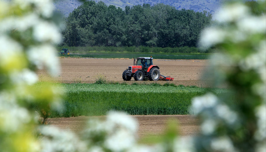 EpirusPost • Ειδήσεις, Ιωάννινα, Άρτα, Πρέβεζα, Θεσπρωτία • agrotika