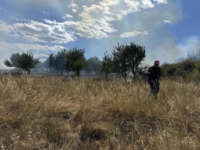 EpirusPost • Ειδήσεις, Ιωάννινα, Άρτα, Πρέβεζα, Θεσπρωτία • katsika fotia2