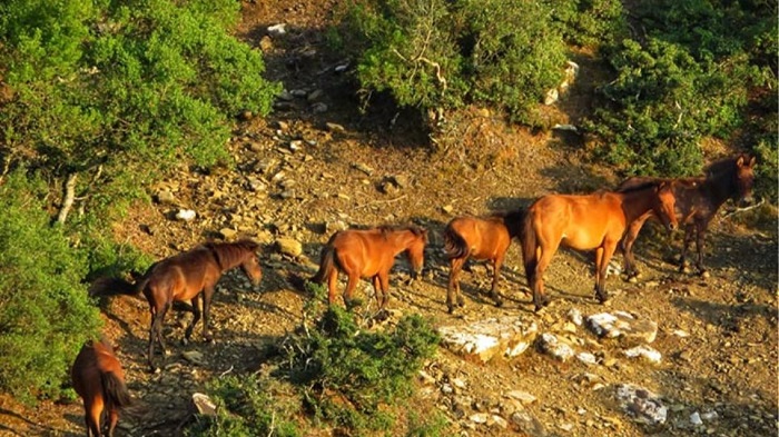 EpirusPost • Ειδήσεις, Ιωάννινα, Άρτα, Πρέβεζα, Θεσπρωτία • aloga