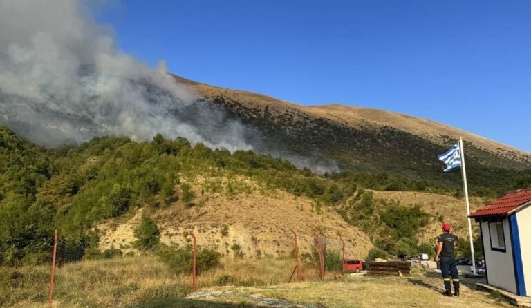 drimades pogoni fotia