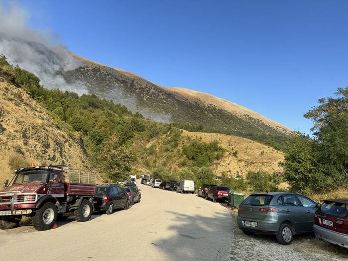 drimades pogoni fotia1