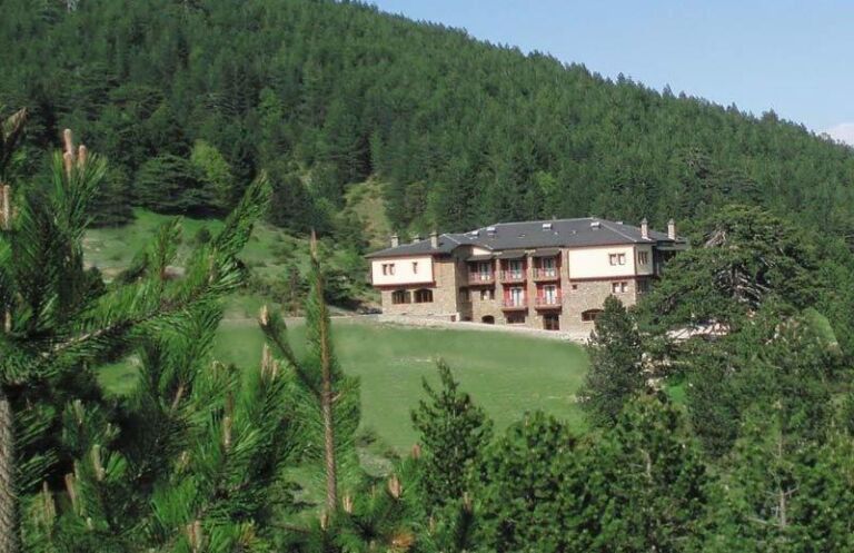 Vasilitsa Spa Resort 2