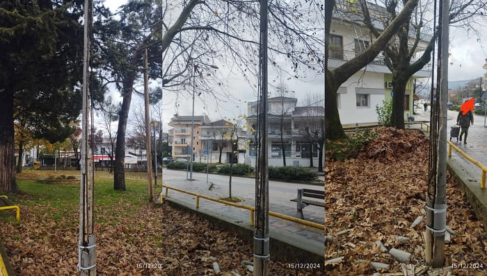 kolones seismoplikta