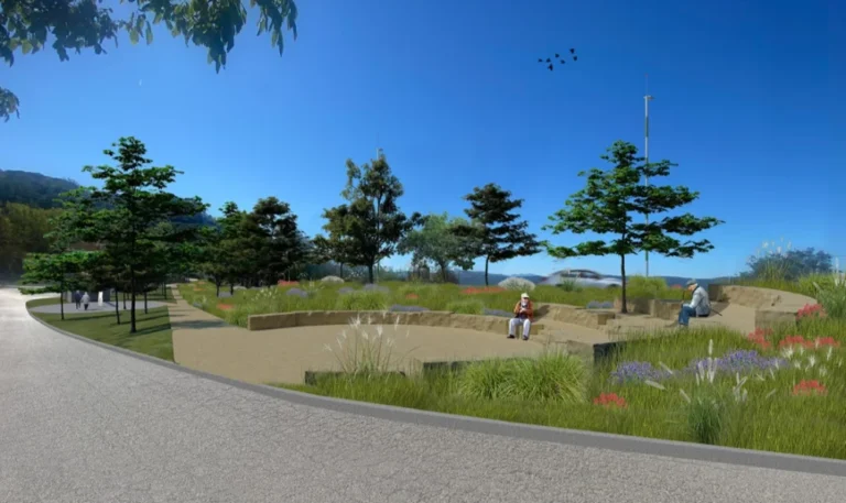 anaplasi metamorfosi