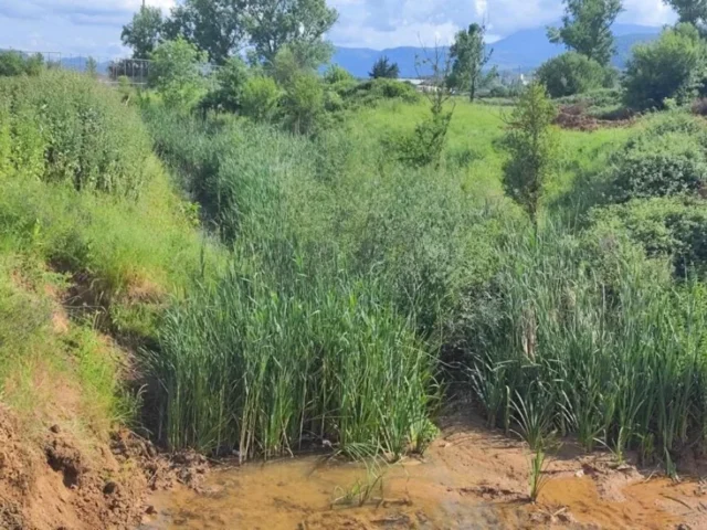 apostraggistikes tafroi