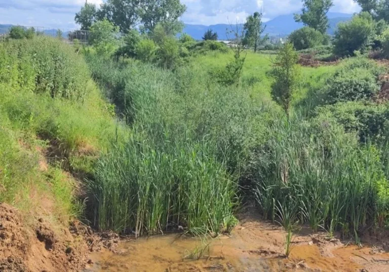 apostraggistikes tafroi