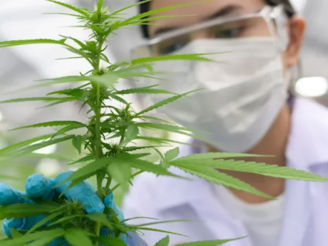 farmakeutiki kanavi (1)