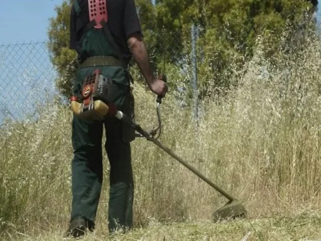 katarismoi oikopedon