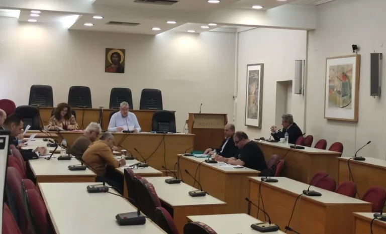 perifereiaki epitropi (6)