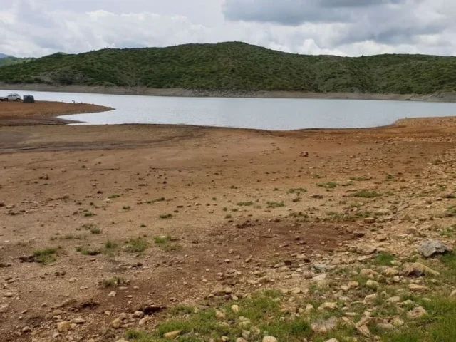 piges aoou statmi (1)