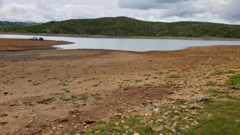 piges aoou statmi (1)