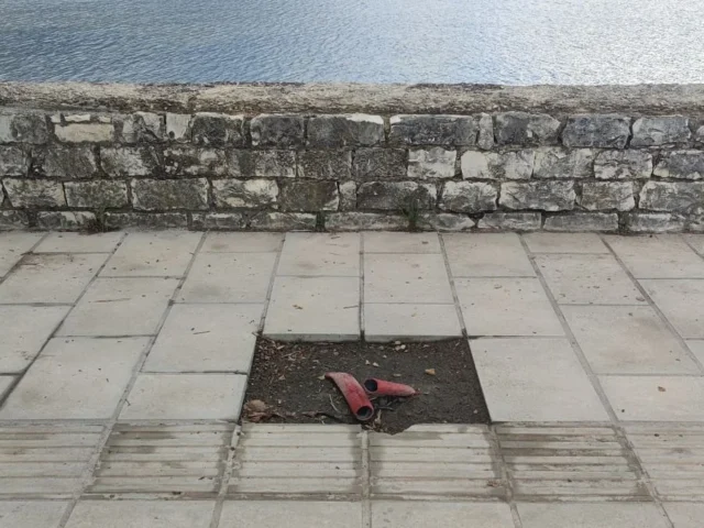 plakakia paralimnios