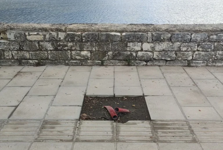 plakakia paralimnios