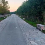 podilatodromos pezodromos