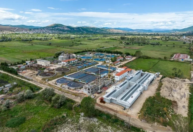 viologikos ioanninon