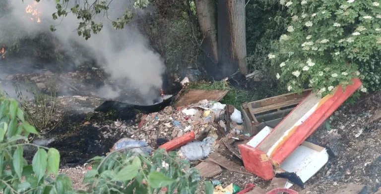 xomateri paralimnios