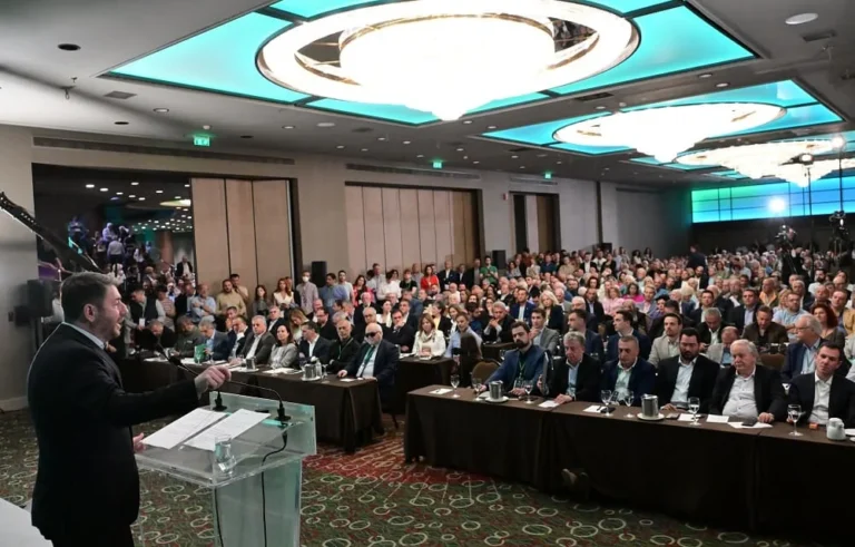 androulakis aftodioikisi