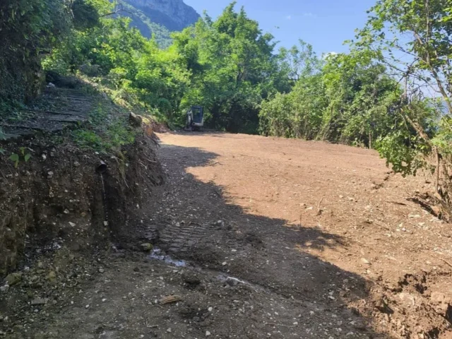 mikro papigko viologikos ()