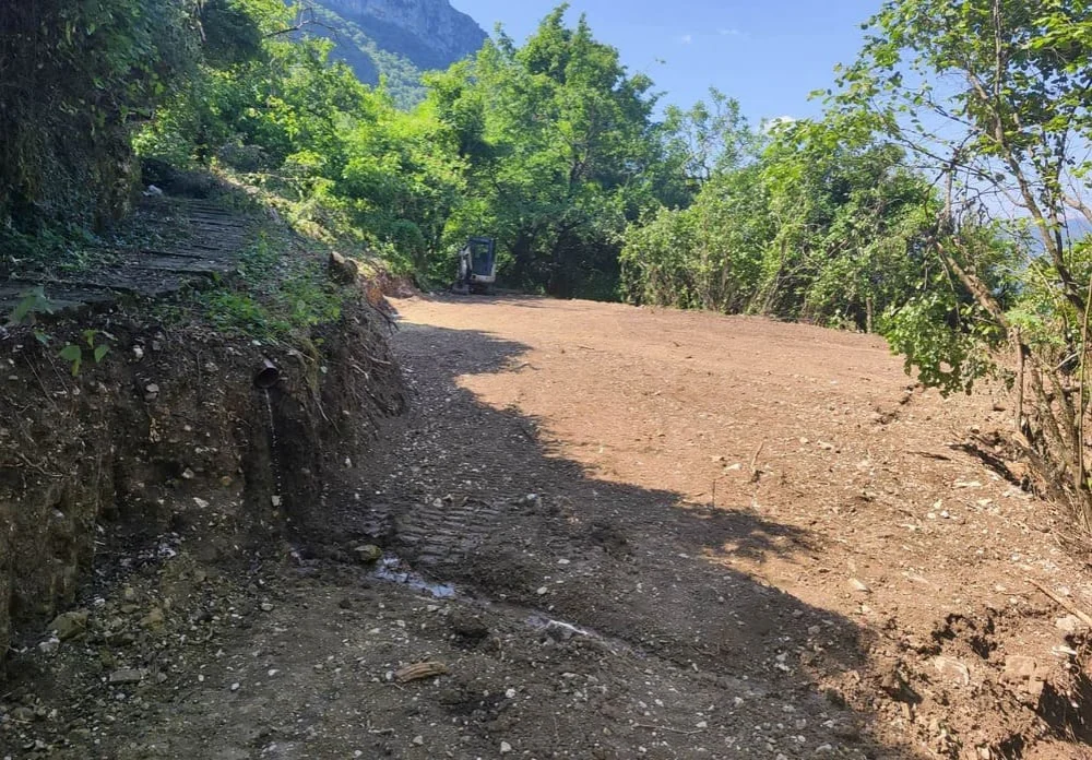 mikro papigko viologikos ()