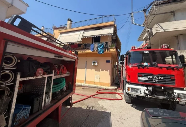 seismoplikta fotia ()