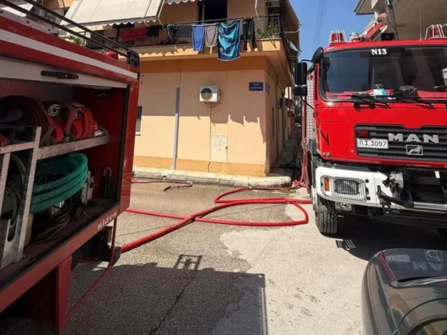 seismoplikta fotia ()