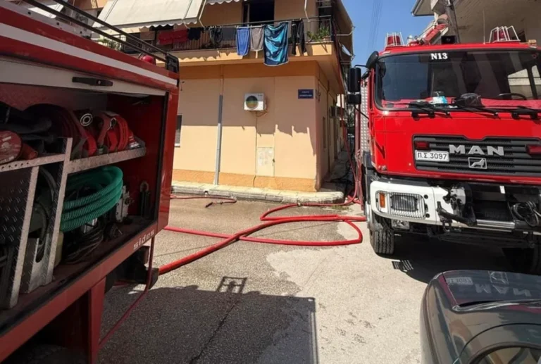 seismoplikta fotia ()