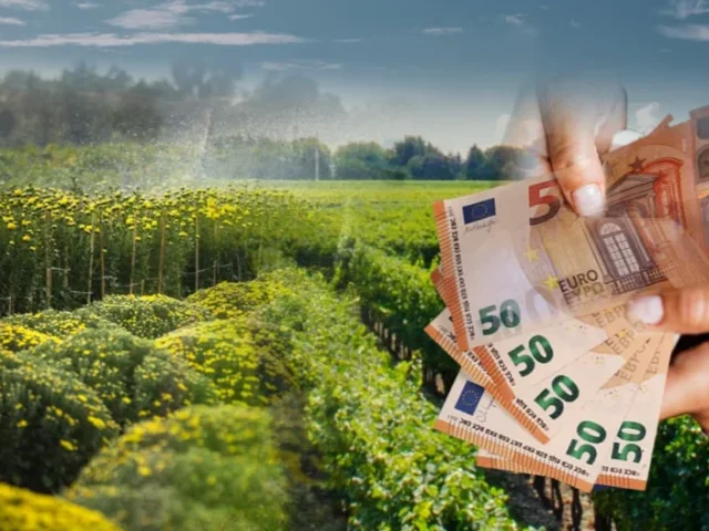 agrotikes epidotiseis