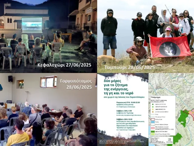 diimero sarantaporos