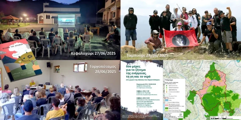 diimero sarantaporos