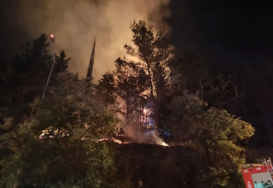 Μεγάλη επιχείρηση της Πυροσβεστικής για την πυρκαγιά στους Λιγκιάδες – ΦΩΤΟ 1 ligkiades